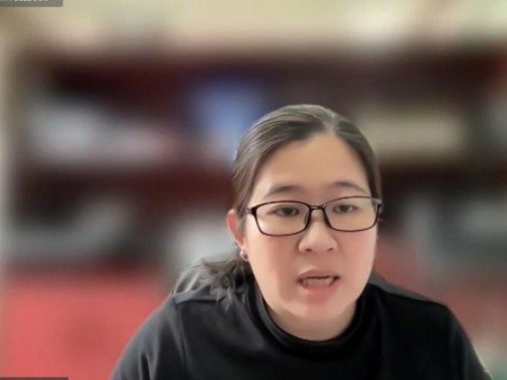 Comelec eyes overseas voting suspension in Afghanistan, Ukraine
