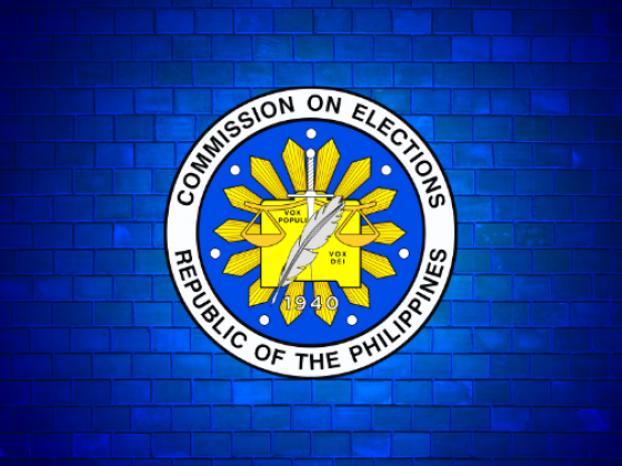 DQ case filed vs. former Palawan governor