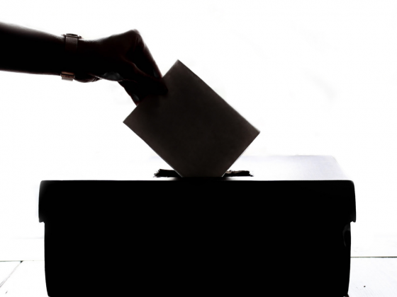 Does my vote truly count?