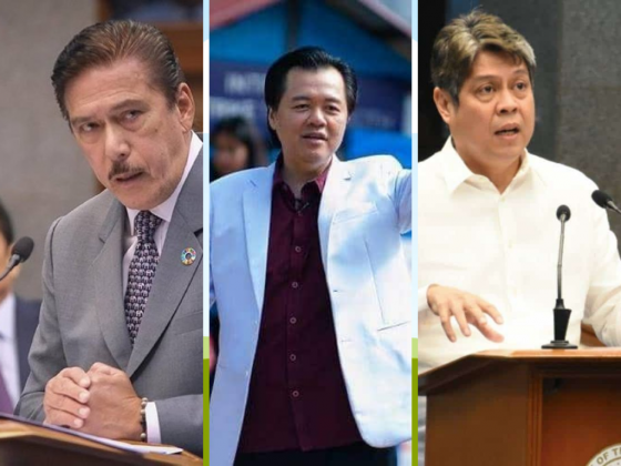 The Political Experience of the Vice Presidential Candidates for the 2022 Elections
